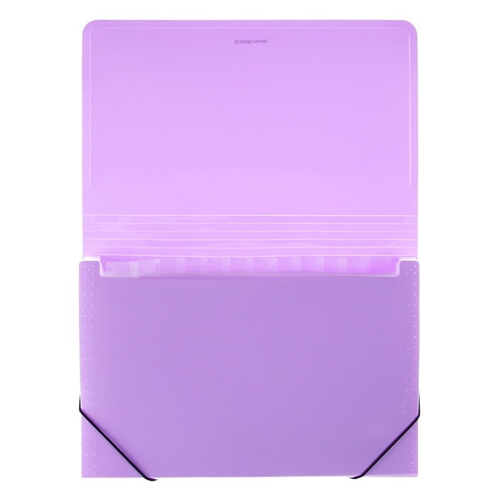 Папка-картотека, А4, 12 отделений, 600 мкм, ErichKrause Папка-картотека, А4, 12 отделений, 600 мкм, ErichKrause "Diagonal Pastel", на резинке, тиснение, микс