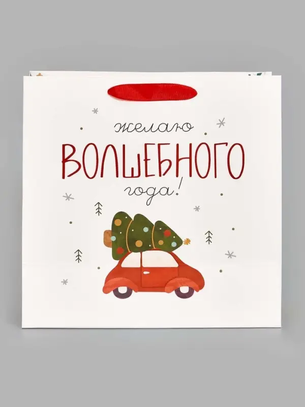 Пакет подарочный ламинированный новогодний &laquo;Волшебного года&raquo;, 22&times;22&times;11 см
