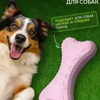 Плавающая игрушка для собак Пижон Premium &laquo;Косточки&raquo;, 10.5&times;5.5&times;2 см, вспененный TPR, розовая