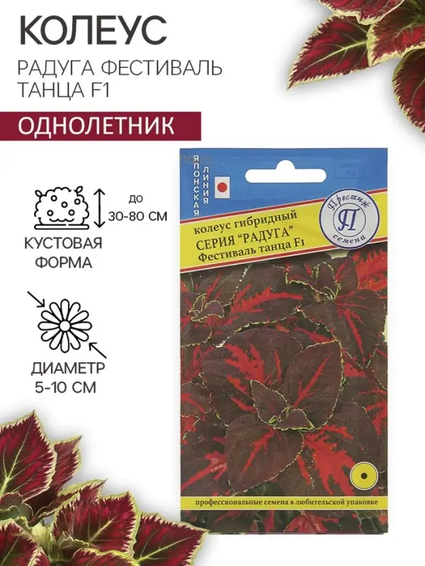 Семена цветов Колеус  Семена цветов Колеус "Радуга" Фестиваль танца F1, О, 10 шт