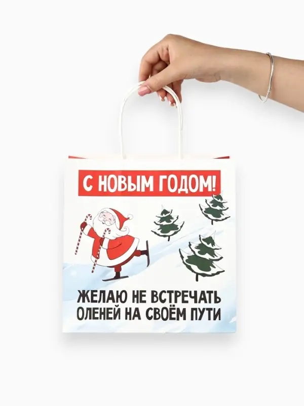 Пакеты подарочные &laquo;Весёлый Новый год&raquo;, набор 5 шт., 23&times;27&times;11.5 см