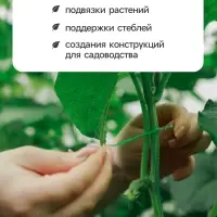 Проволока подвязочная, 20 см, в наборе 100 шт., зелёная, Greengo