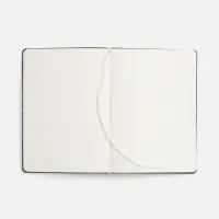 Ежедневник Kuka, недатированный, светло-зеленый Ежедневник Kuka, недатированный, светло-зеленый