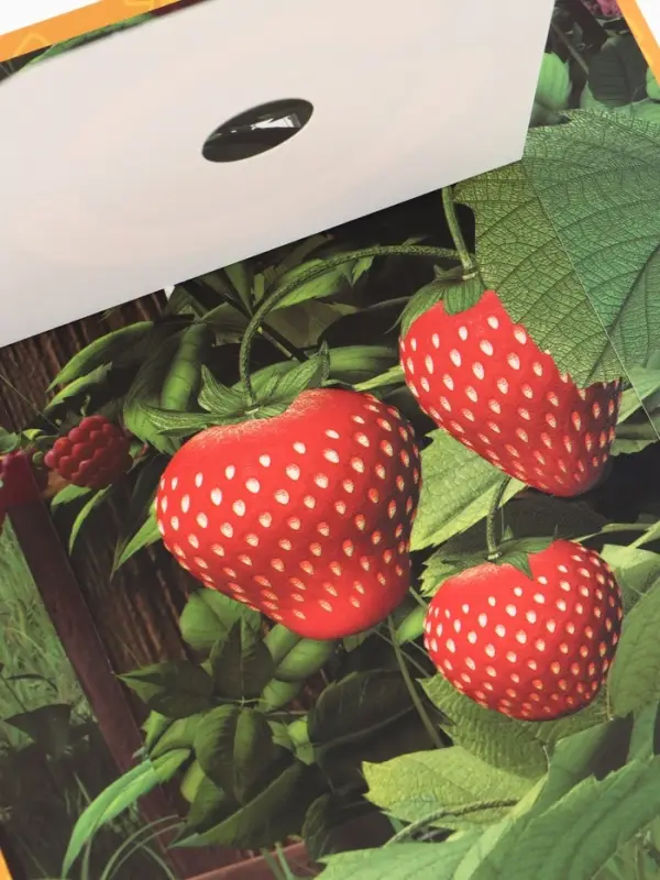 Книга с окошками &laquo;Ароматные стишки&raquo;, 20 стр., Маша и Медведь