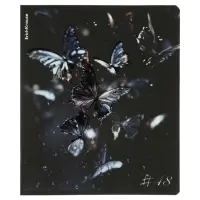 Тетрадь 48 листов в клетку, ErichKrause Glass Butterflies, 60 г/м&sup2;, МИКС
