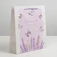 Пакет подарочный ламинированный, упаковка, Special for you, ML 21&times;25&times;8 см
