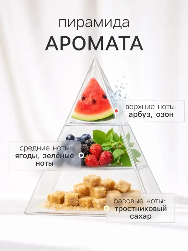 Диффузор ароматический с палочками Nero Lumen, 50 мл