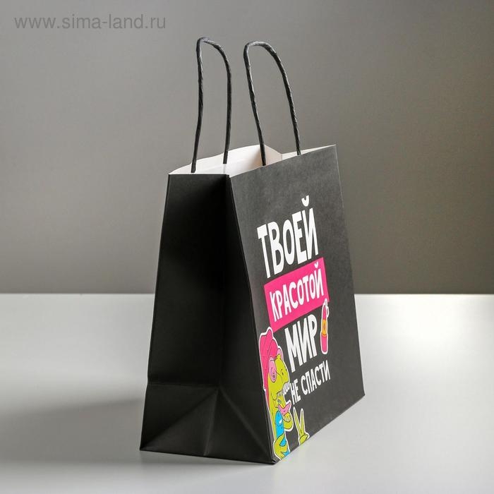 Пакет подарочный, упаковка, «Красота», 22 х 22 х 11 см Пакет подарочный, упаковка, «Красота», 22 х 22 х 11 см