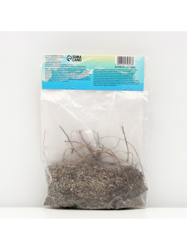 Флокс «Роза Пастелла» корневище в пакете с торфогрунтом, р-р I, 2 шт.