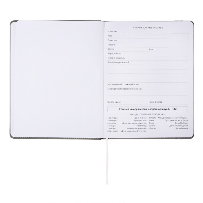 Дневник универсальный для 1-11 классов Grey, твёрдая обложка, искусственная кожа, резинка, ляссе, тонированный блок, 48 листов