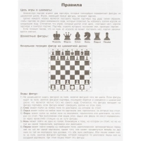 Игра Классические шахматы. 190х130х25 мм. Умные игры , 4660254478794