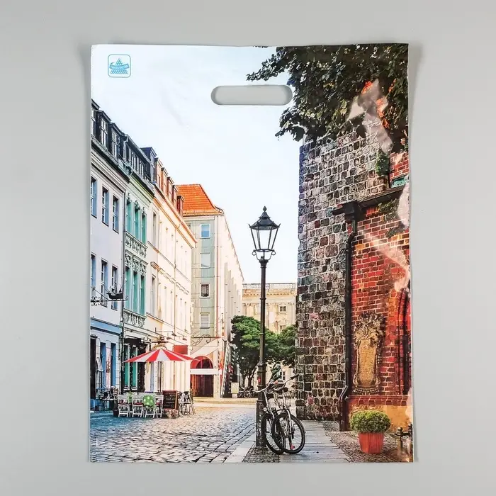 Пакет &laquo;Улица&raquo;, полиэтиленовый с вырубной ручкой, 60 мкм, 31&times;40 см