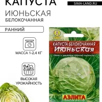 Семена Капуста белокочанная &laquo;Июньская&raquo;, 0.5 г, &laquo;Аэлита&raquo;