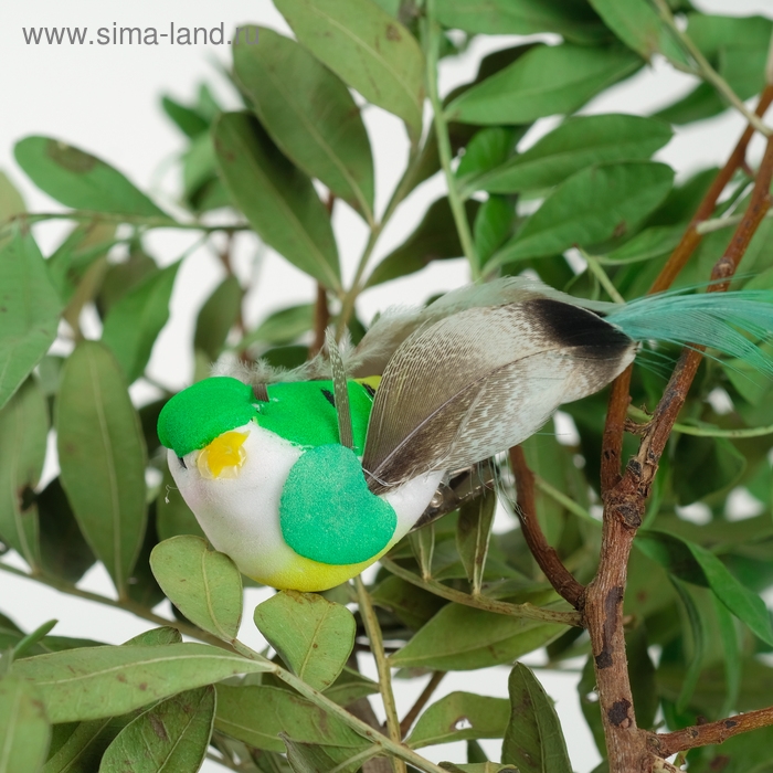 Птичка для декора и флористики, на прищепке, МИКС, пластиковая, 1шт., 8 х 8 см Птичка для декора и флористики, на прищепке, МИКС, пластиковая, 1шт., 8 х 8 см