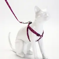 Шлейка с поводком &laquo;Классика&raquo;, ОГ 28-47 см, поводок 120&times;1 см, фиолетовая