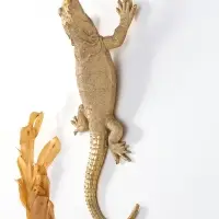 Панно интерьерное полистоун "Ящерица шипохвост" золото 38,7х16,9х9,5 см