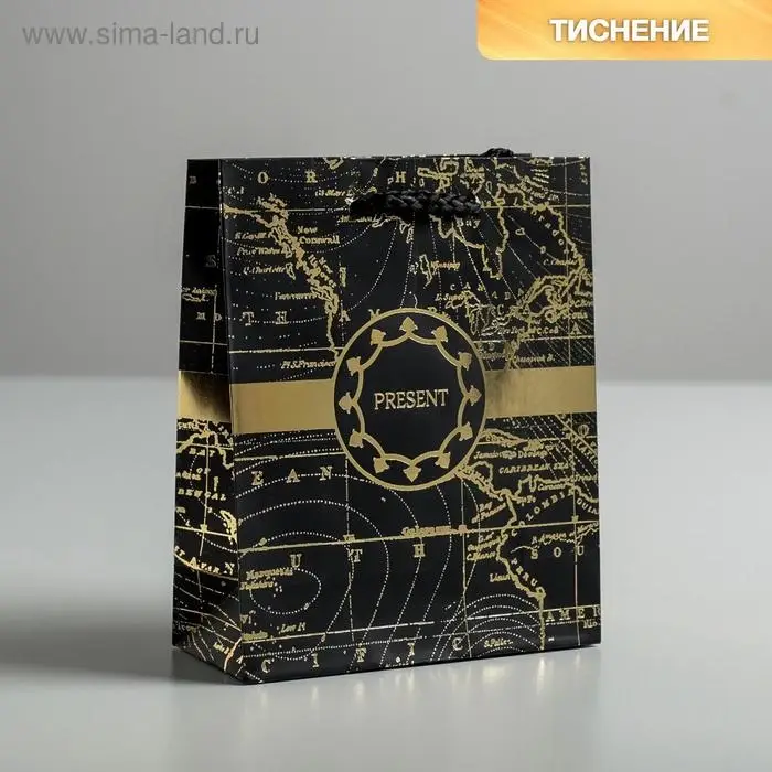 Пакет подарочный ламинированный, упаковка, &laquo;Gold present&raquo;, S 12 х 15 х 5.5 см