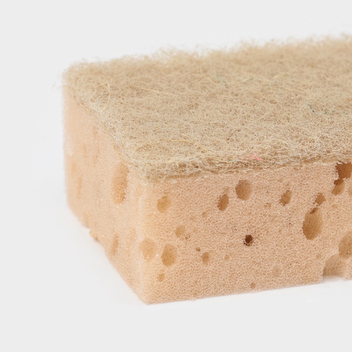 Набор губок для мытья посуды Raccoon «Ренессанс», 2 шт, 9×6,5×3,5 см, крупнопористый поролон, бежевый Набор губок для мытья посуды Raccoon «Ренессанс», 2 шт, 9×6,5×3,5 см, крупнопористый поролон, бежевый