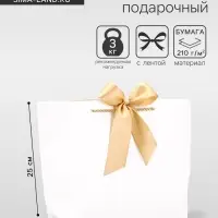 Пакет подарочный ламинированный, с лентой &laquo;Белый&raquo;, горизонтальный, 26&times;25&times;11 см