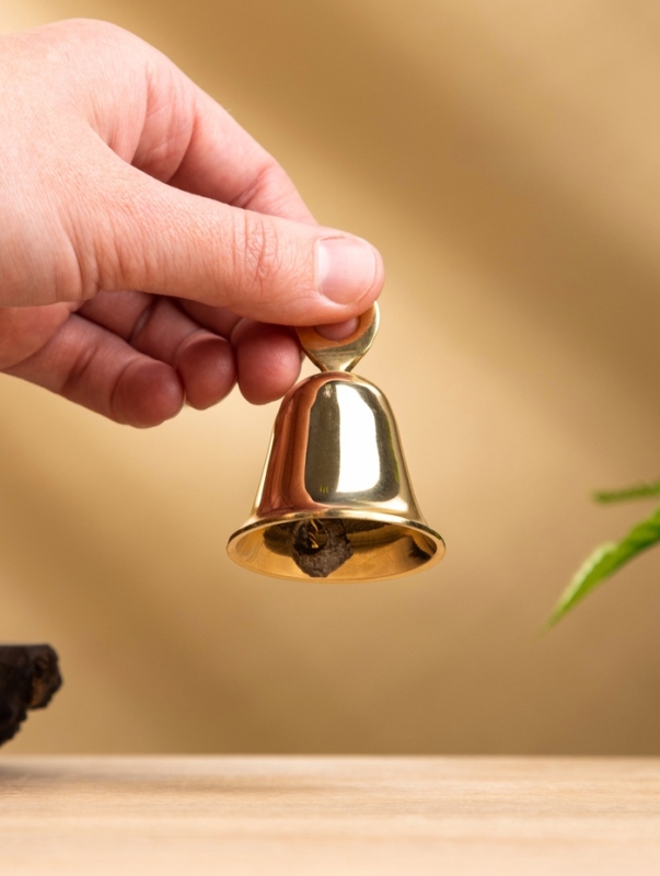 Колокольчик с кольцом, латунь 4х4х6 см Колокольчик с кольцом, латунь 4х4х6 см