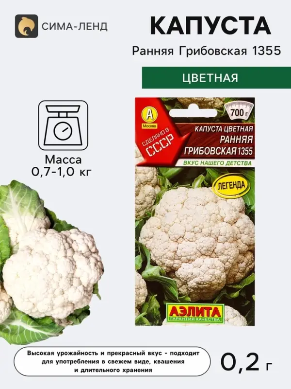 Семена Капуста цветная &laquo;Ранняя Грибовская 1355&raquo;, 0.2 г, &laquo;Аэлита&raquo;