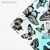 Плёнка упаковочная с голографией «Бабочки», 100 х 70 см