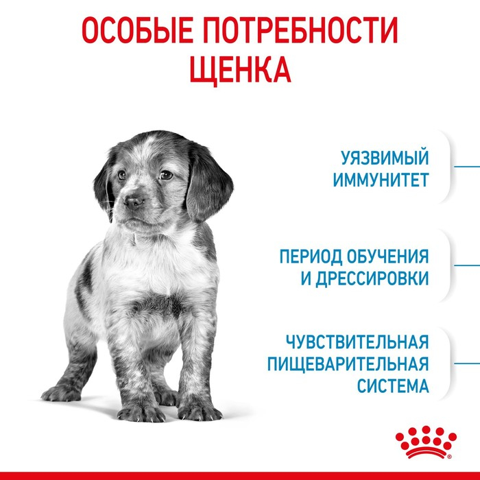 Сухой корм RC Medium Puppy для щенков, 3 кг Сухой корм RC Medium Puppy для щенков, 3 кг