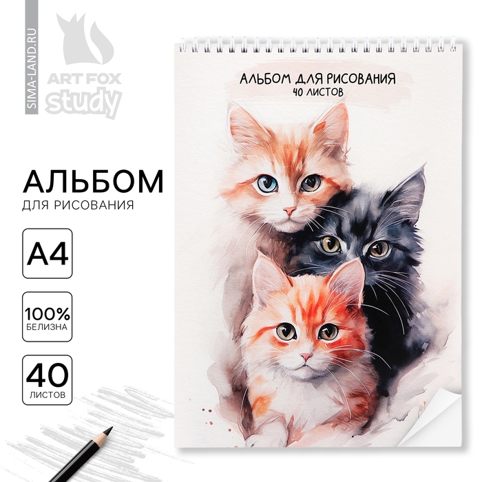 Альбом для рисования 40 листов на пружине А4 &laquo;Три котика&raquo;