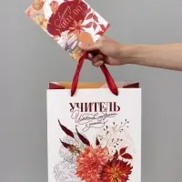 Подарочный набор &laquo;Учитель&raquo;, пакет и открытка, ML 27 &times; 23 &times; 11,5 см