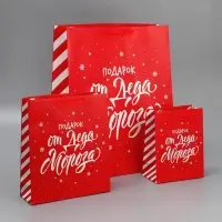 Набор новогодних пакетов «Новогодний подарок» Набор новогодних пакетов «Новогодний подарок»