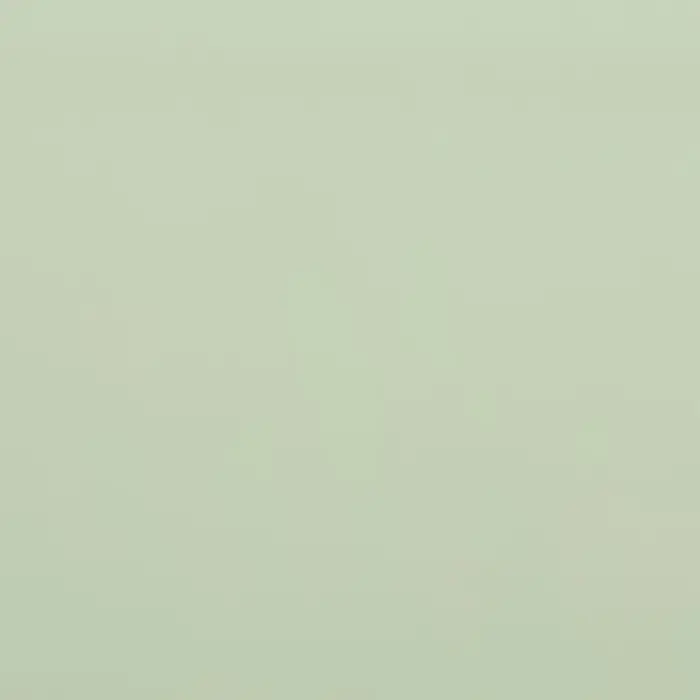 Пленка для цветов матовая, «Пожелания», 58×58 см, зелёный