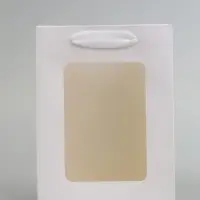 Пакет подарочный, с окном, 20&times;15&times;10 см, белый