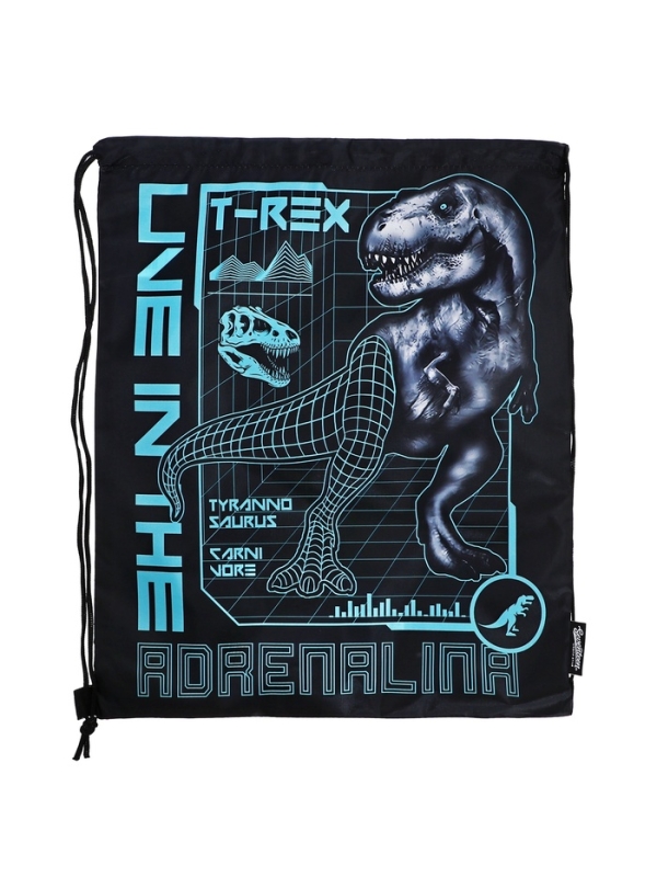 Мешок для обуви 480×380 Seventeen, черный, мальчик Мешок для обуви 480×380 Seventeen, черный, мальчик