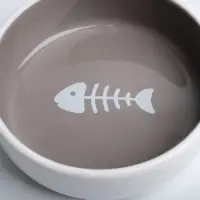 Миска &laquo;Рыбные кость&raquo;, 300 мл, 13.4&times;13.4&times;4 см, керамика, тёмно-бежевая, белая