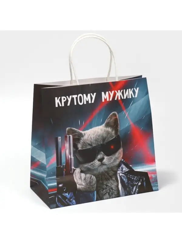 Пакет подарочный, упаковка, &laquo;Мужику&raquo;, 22 х 22 х 11 см