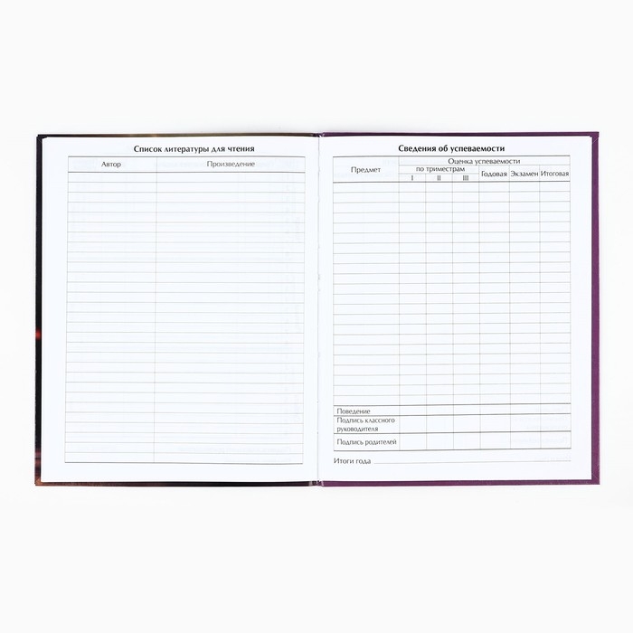 Дневник школьный для 1-11 класса, в интегральной обложке, 40 л. «1 сентября:Котёнок балерина» Дневник школьный для 1-11 класса, в интегральной обложке, 40 л. «1 сентября:Котёнок балерина»