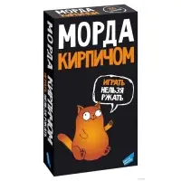 Настольная игра Dream Makers &laquo;Морда кирпичом&raquo;, 16+