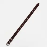 Ошейник кожаный на синтепоне, безразмерный, 65&times;3 см, ОШ 22-55 см, коричневый