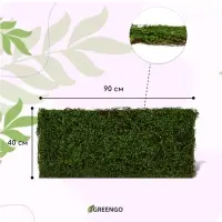 Декоративная панель, 90&times;40 см, &laquo;Ряска&raquo;, Greengo