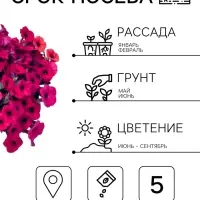 Семена цветов Петуния каскадная &laquo;Тайдал Вейв Парпл&raquo; 5 шт.