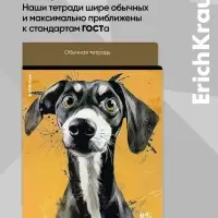 Тетрадь 48 листов в клетку ErichKrause Goofy