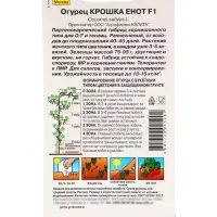 Семена Огурец &laquo;Крошка енот&raquo;, партенокарпический, 10 шт., &laquo;Агрофирма АЭЛИТА&raquo;