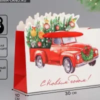Пакет подарочный &laquo;Спешу к тебе&raquo;, 30&times;19.4&times;10 см