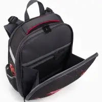 Рюкзак школьный для девочки &laquo;Щенок&raquo;, Stavia, эргономичная спинка, 30&times;16&times;38 см, серый