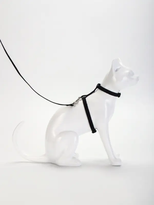 Комплект для кошек, ширина 1 см, ОШ 16.5-27 см, ОГ 21-35 см, поводок 120 см, чёрный