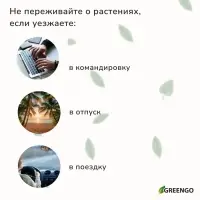 Автополив для комнатных растений, h=28 см, 380 мл, пластик, набор 2 шт., зелёный, Greengo