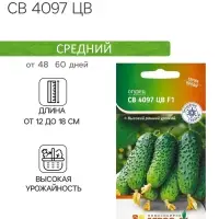 Семена Огурец, &laquo;СВ 4097 ЦВ&raquo;, F1, 8 шт., Seminis, &laquo;Агрос&raquo;