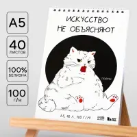 Скетчбук А5, 40 л 100 г/м&sup2; &laquo;Кот&raquo;