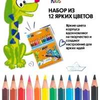 Карандаши цветные 12 цветов BIC Kids Evolution ECOlutions, детские, ударопрочные, пластиковые