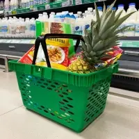 Корзина покупательская пластиковая, 20 л, 2 пластиковые ручки, зелёная